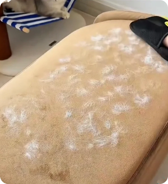 Fabric before using PurePath